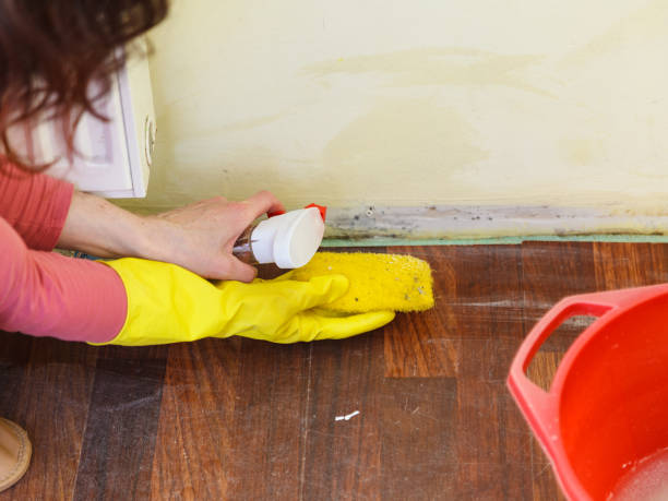 Mold Remediation for Rental Properties in Princeton, WI